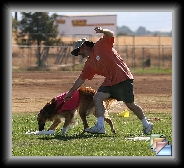 September 2006 * Pictures of Dino Coursing * (3 Slides)