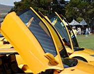 P8160095a.JPG