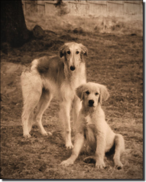 Nike and Rusty, around 1994